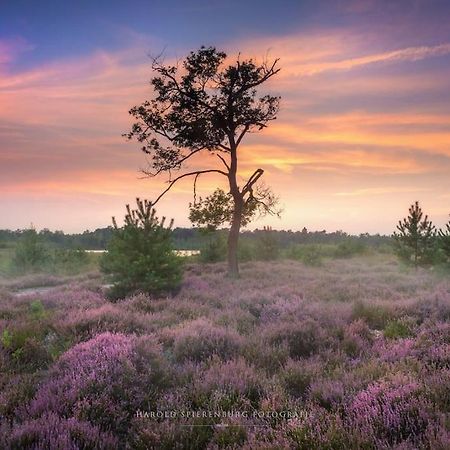 Natuurhuisje Oisterwijk Villa Kültér fotó