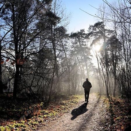 Natuurhuisje Oisterwijk Villa Kültér fotó