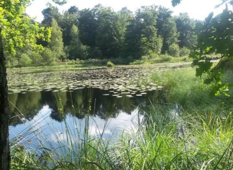 Natuurhuisje Oisterwijk Villa Kültér fotó