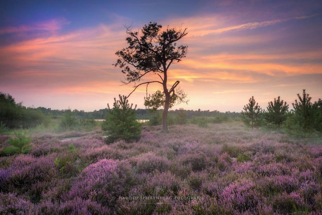 Natuurhuisje Oisterwijk Villa Kültér fotó