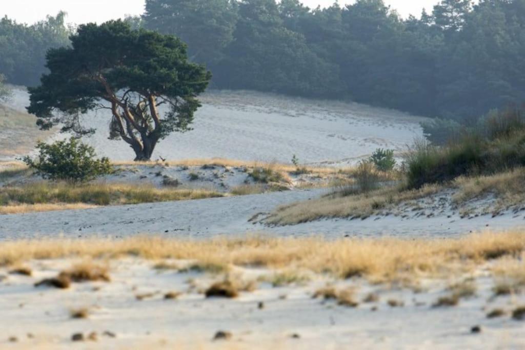 Natuurhuisje Oisterwijk Villa Kültér fotó