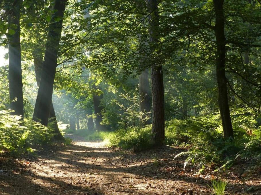 Natuurhuisje Oisterwijk Villa Kültér fotó