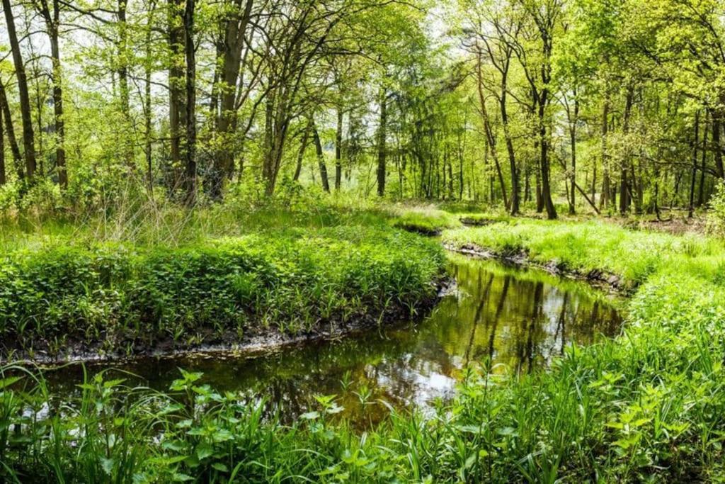 Natuurhuisje Oisterwijk Villa Kültér fotó