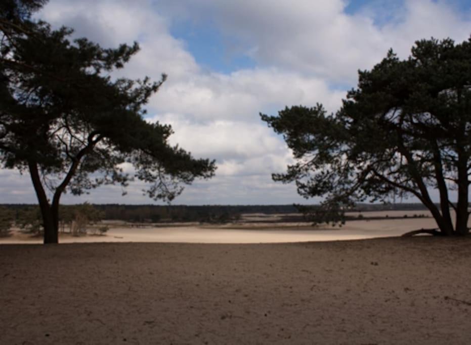 Natuurhuisje Oisterwijk Villa Kültér fotó