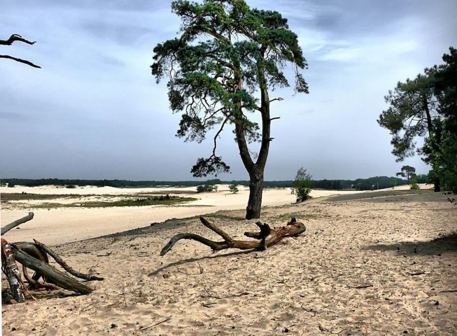 Natuurhuisje Oisterwijk Villa Kültér fotó